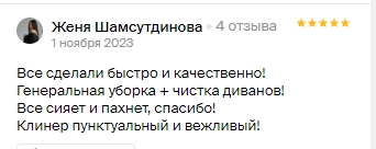 Отзыв о работе компании "CLEAN HAPPY" по химчистке дивана, ковра и стыков между плиткой.